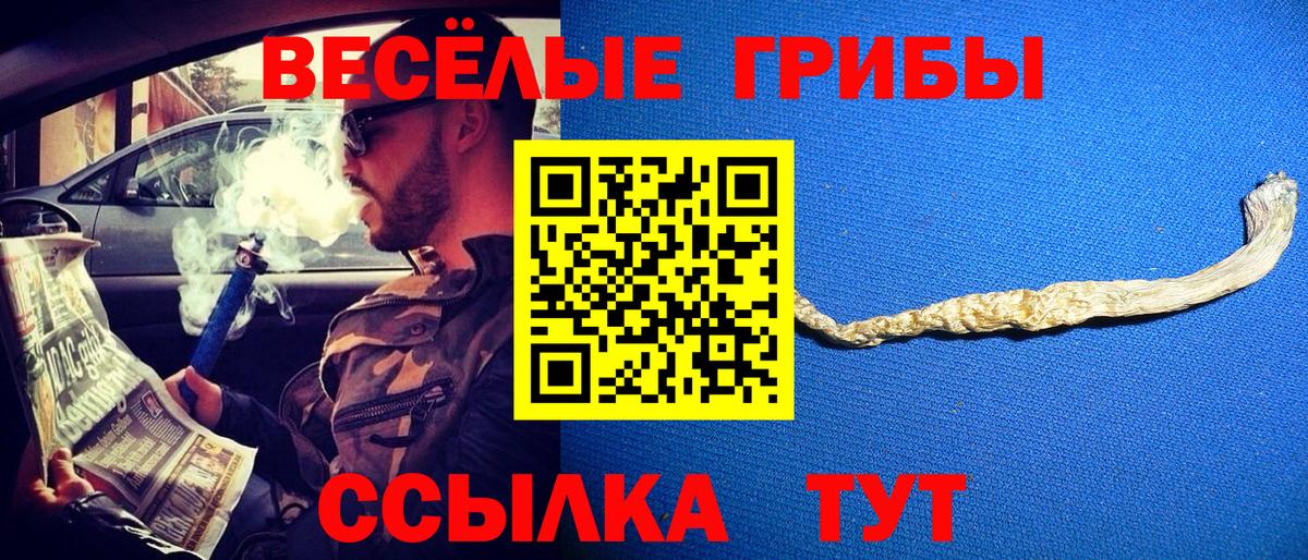 Галлюциногенные грибы GOLDEN TEACHER  Псилоцибиновые грибы Psilocybe  Южноуральск  Вход с VPN 